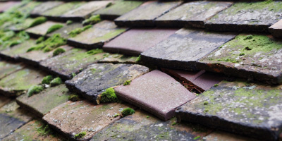 St Blazey roof repair costs